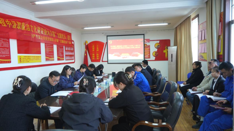 汽貿(mào)公司黨支部召開(kāi)重溫習(xí)近平總書記在全國(guó)國(guó)有企業(yè)黨的建設(shè)工作會(huì)議上重要講話精神座談會(huì)暨2024 年第十二次學(xué)習(xí)（擴(kuò)大）會(huì)議